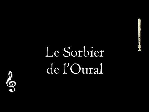Le Sorbier de l'Oural