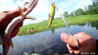 Воблер cultiva ctm-110f