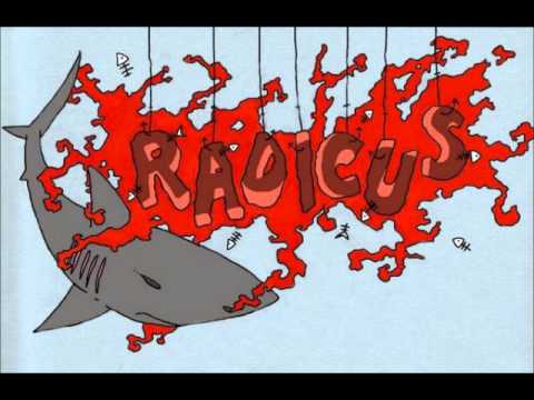 Radicus - The Spark II