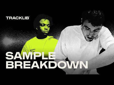 Sample Breakdown: Fred again.. & Blanco - solo