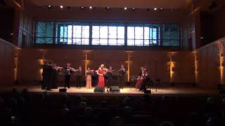 Fauré Après un Rêve op 7, no 1   Arr  Violin & Strings