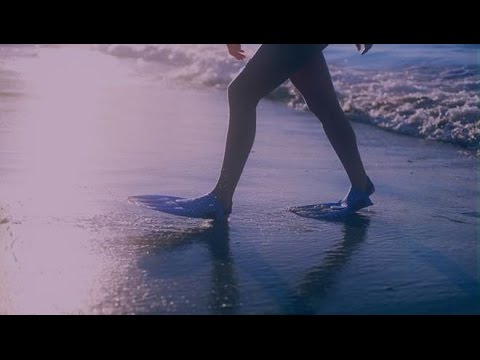 The European Week of Sport