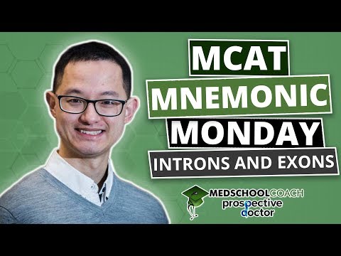MCAT Mnemonic: Introns and Exons (Ep. 7)