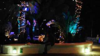 Cornish Music and Dance by Dalla at The Eden Project (2 of 4)
