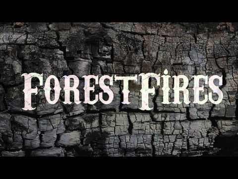 Forest Fires - Trial and Error