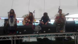 The Book of Psylence - Seagull - Lindisfarne Festival 2016