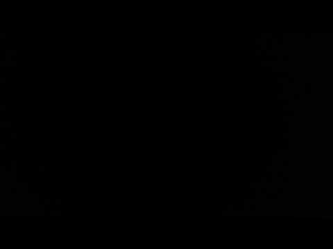 Yo girlz on my diz. Rob Wight