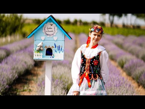 Yasmina Daria Longher - Hora din Moldova                              Academia de Arte Modus Vivendi