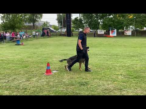 RUSH /BH Vizsga/ - Spaczek Attila