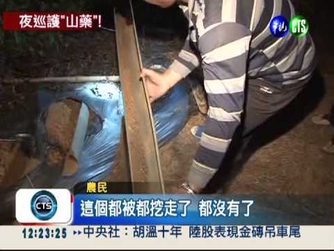 被偷到怕了! 農民夜巡護"山藥"