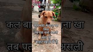 कहा का खाना अच्छा होता है😂 #funny #adorably #motivation #adoreble #com
