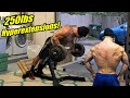 HEAVY Hyperextensions 250lbs x 8 Reps! || 20