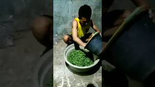 Download lagu membuat adukan pakan fermentasi untuk ayam #shorts #fypシ mp3 Download lagu membuat adukan pakan fermentasi untuk ayam #shorts #fypシ mp3