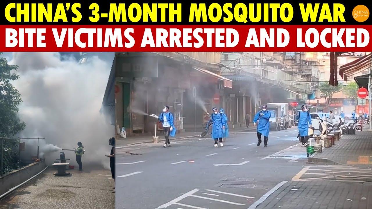 China’s 3-Month Mosquito War: Biting Victims Forced Into Isolation, Locked in Dark Rooms