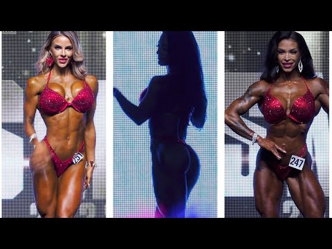 Stunning Wellness Fitness - Top 3 Swedish Nationals