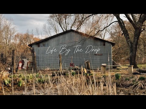 Cas Haley - Life By The Drop (Reggae Cover) w/ Mike Love & Tavana [Lyric Video]