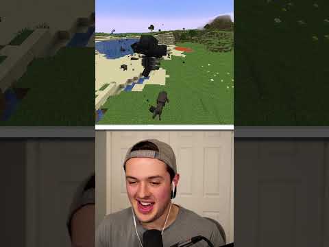 BeckBroPlays - I made my brother fight a Minecraft boss!