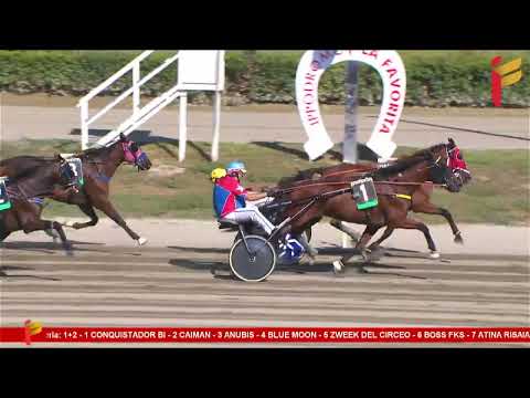 I Corsa del 30 Settembre 2023 - 5 Anni ed oltre - Metri 2000 - Proprietari GD