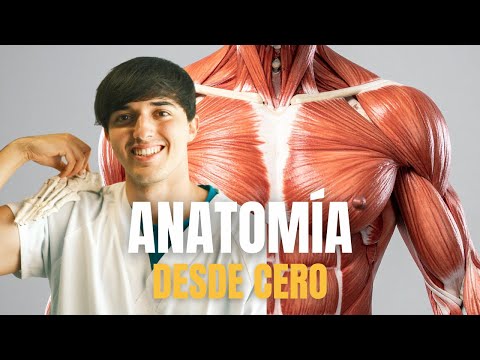 HAZTE EXPERTO EN ANATOMIA DESDE CERO - Episodio 1