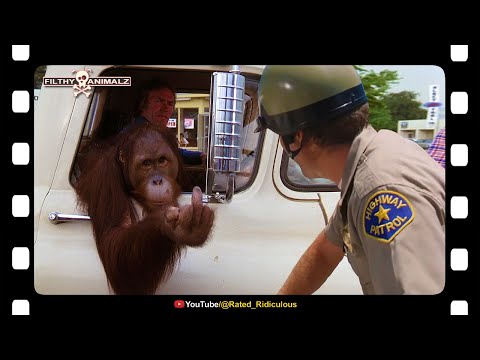 Crooked Cop KO'd by Orangutan