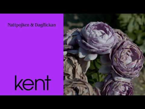 Video thumbnail for Nattpojken & Dagflickan