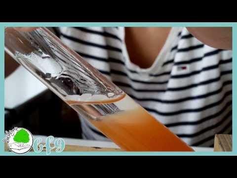 Genetik - DNA Extraktion