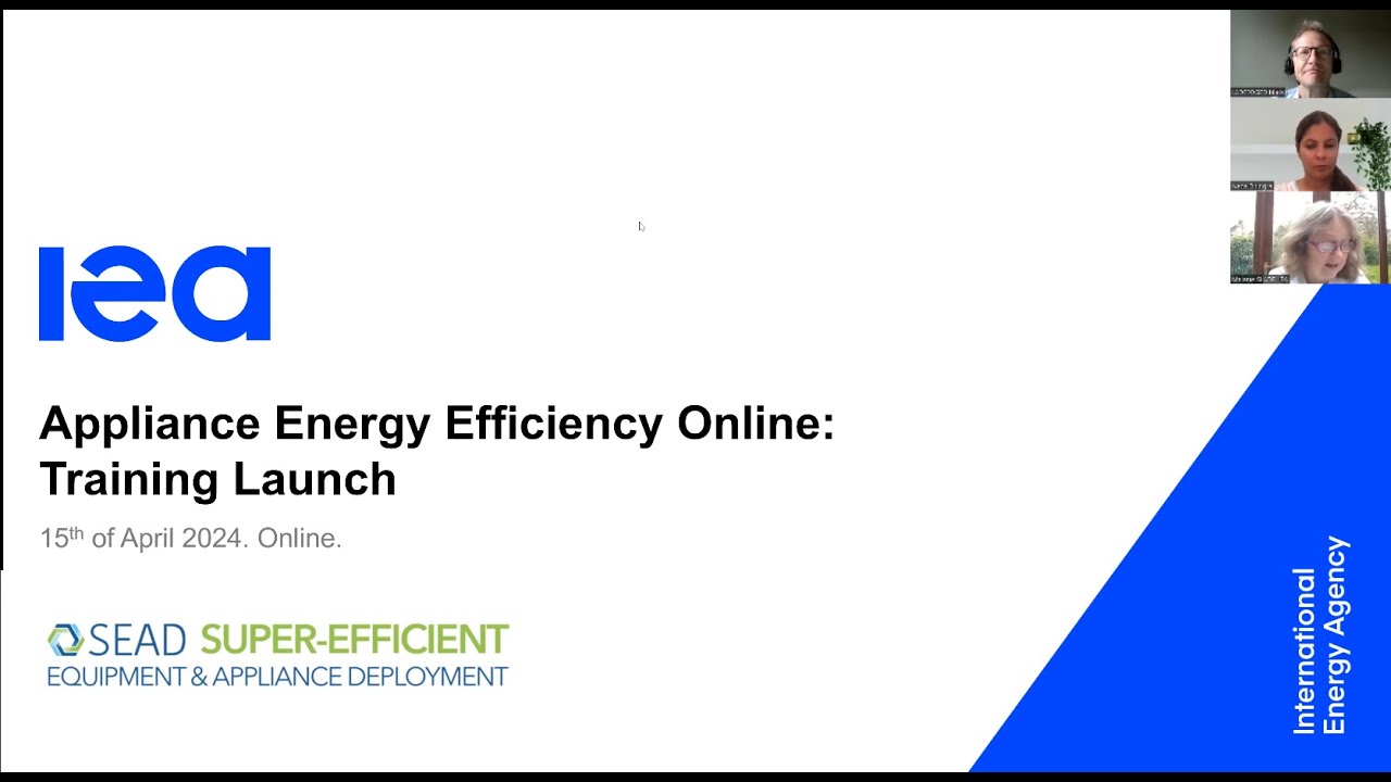 SEAD: Training Launch of the Appliance Energy Efficiency Online course