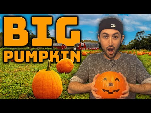Big Pumpkin (Jay-Z-Parodie) | Jeffreys Song der Woche