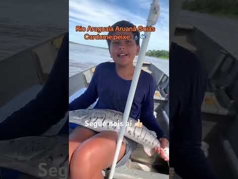 Rio Araguaia Aruanã Goiás pescaria de cachara 🎣 #pescaria #pesca #valedoaraguaia #turismo #paisagem