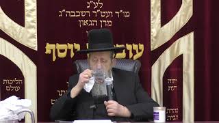 הילולת המקובל ח ר סלמן מוצפי זצוק ל בית הכנסת יזדים י ז טבת התשפה