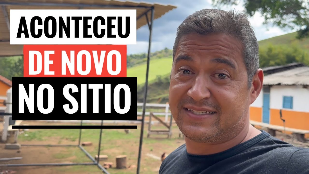 COMO ESTAO COM OS OVOS DE JABUTI DEPOIS DE 6 MESES?