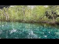 Silver Springs State Park In Ocala Saw An Alligator And Snake Things To Do In Ocala FL