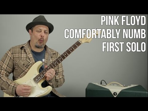 How to Play The First Solo To "Comfortably Numb" by Pink Floyd - David Gilmour solo