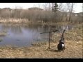 Dancing on the Moon (Music Video) 