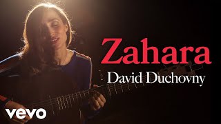 David Duchovny Music Video