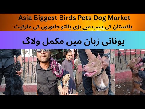 Η μεγαλύτερη αγορά πουλιών, κατοικίδιων και σκύλων στο Πακιστάν