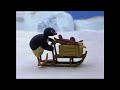 Pingu MV Waddle Penguin A Tribute To Carlo Bonomi
