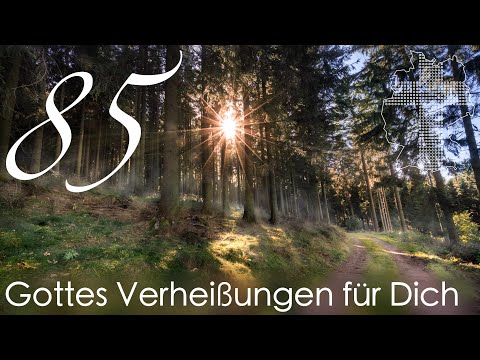 Gottes Verheißungen für Dich - 1. Johannes 5,11 | Videokalender 85/365 - Deutschland braucht JESUS