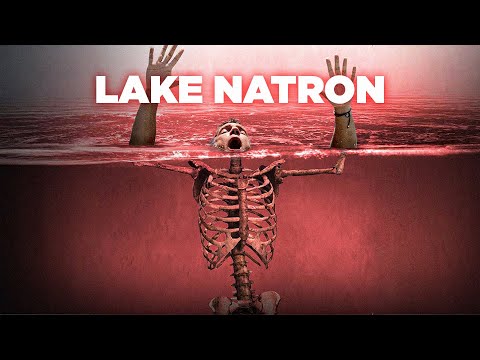 Lake Natron: Most Dangerous Lake on Earth – What They Found Beneath the Surface | Earth Documentary