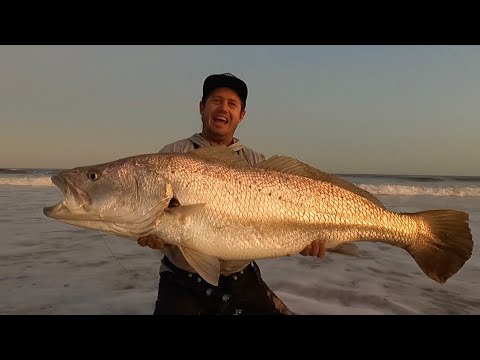 Big Kob on a tiny hook while fishing for White Steenbras! Small hooks can catch big fish too!