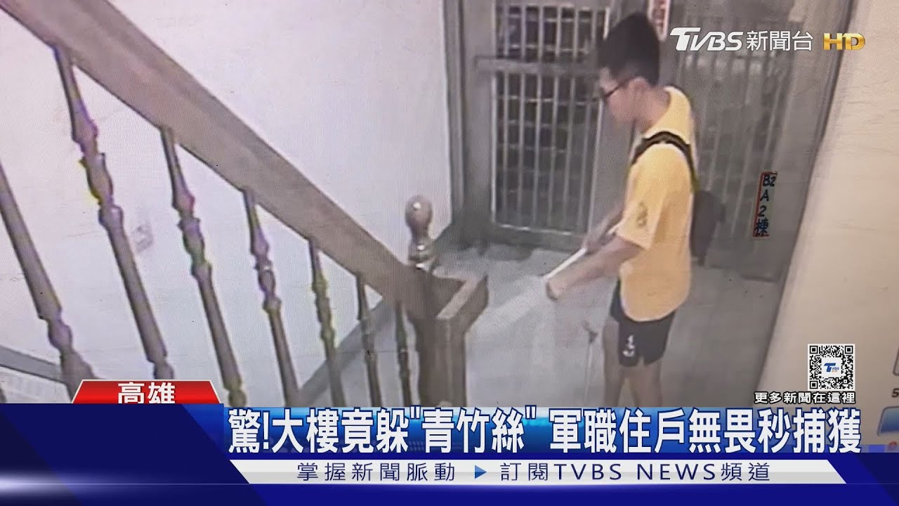 驚！大樓竟躲「青竹絲」　職軍住戶無畏秒捕獲