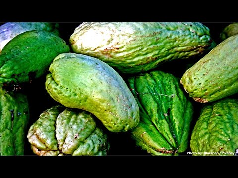 After Eating This Plant For A Week I Went To The Doctor And My Results Were Awesome!!