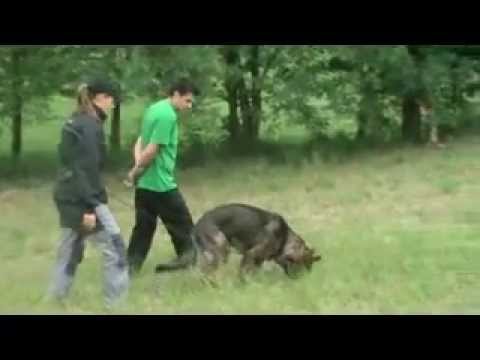 Da Vinci z Jukasu - tracking - 18 months