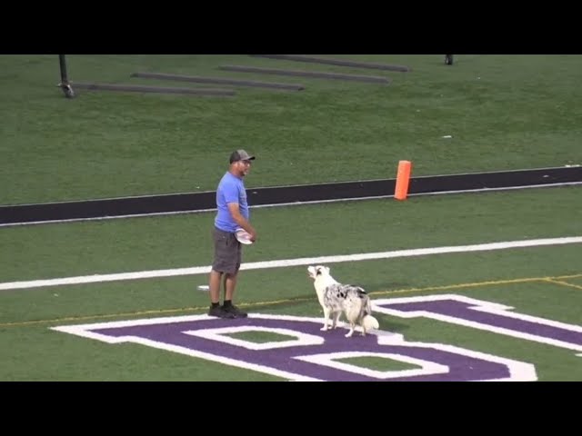 Judge.me YouTube video placeholder