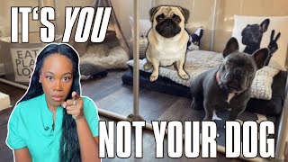 The Real Reason YOUR DOG Is Peeing Inside AND Jumping on YOUR Guest