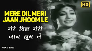 Mere Dil Meri Jaan Jhoom Le Lyrics English Translation