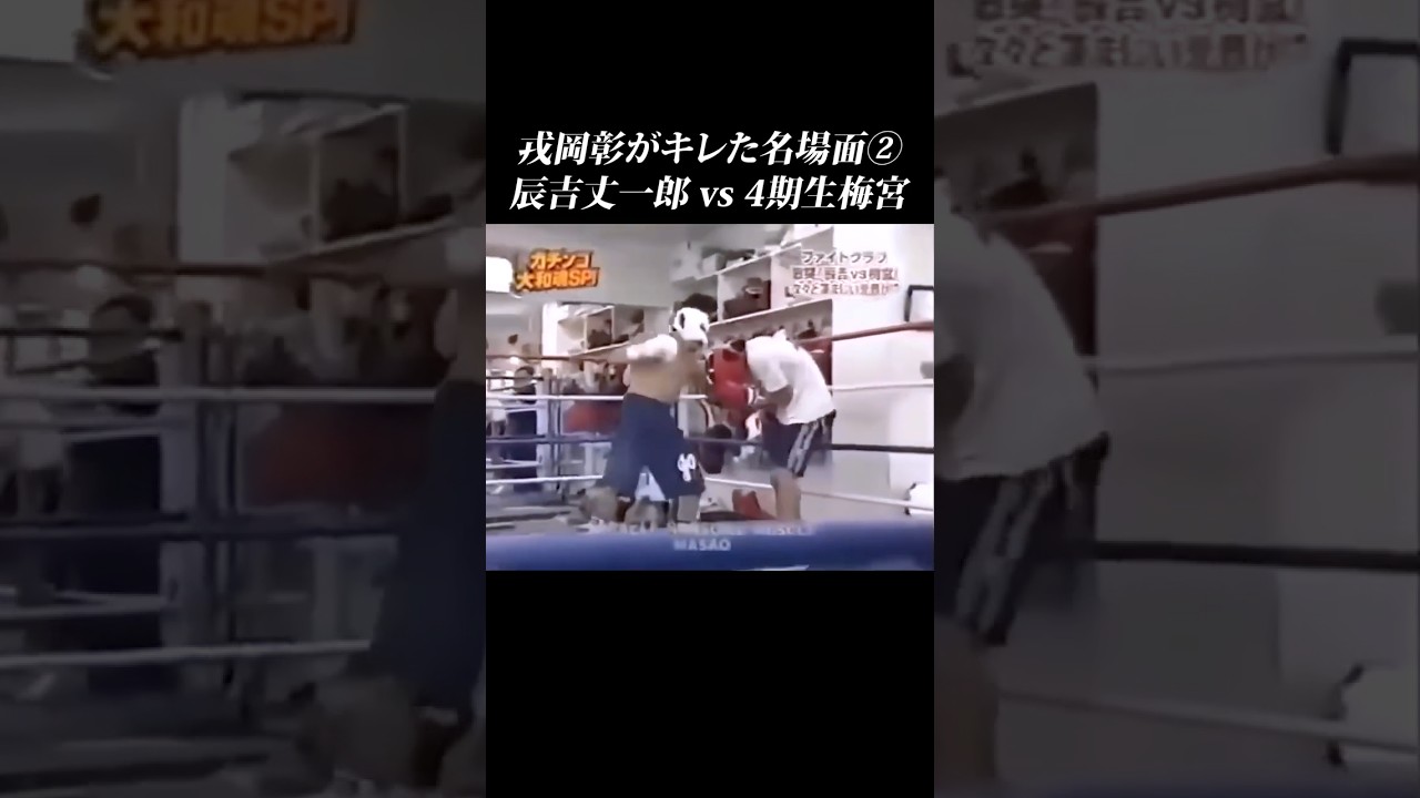 【辰吉vs梅宮②】もうアカンやろ？辰吉のスパーが流石すぎる… #shorts #ガチンコ #辰吉丈一郎 #戎岡彰 #大阪帝拳 #竹原慎二