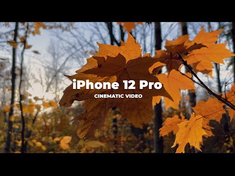 Тестирование камеры iPhone 12 Pro