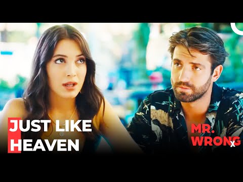 Tell Me You Love Me - Mr. Wrong