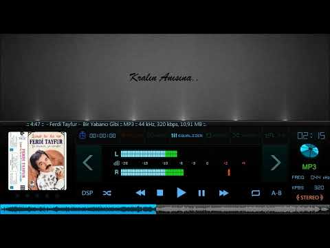 Ferdi Tayfur - Bir Yabancı Gibi 1987 (Ferdi Tayfur Anısına)